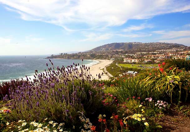 Picture of Residence Inn Dana Point San Juan Capistrano