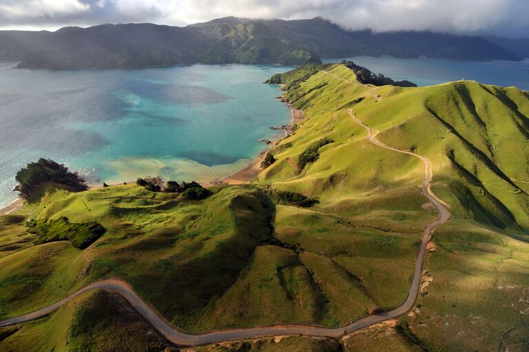 new zealand landscape
