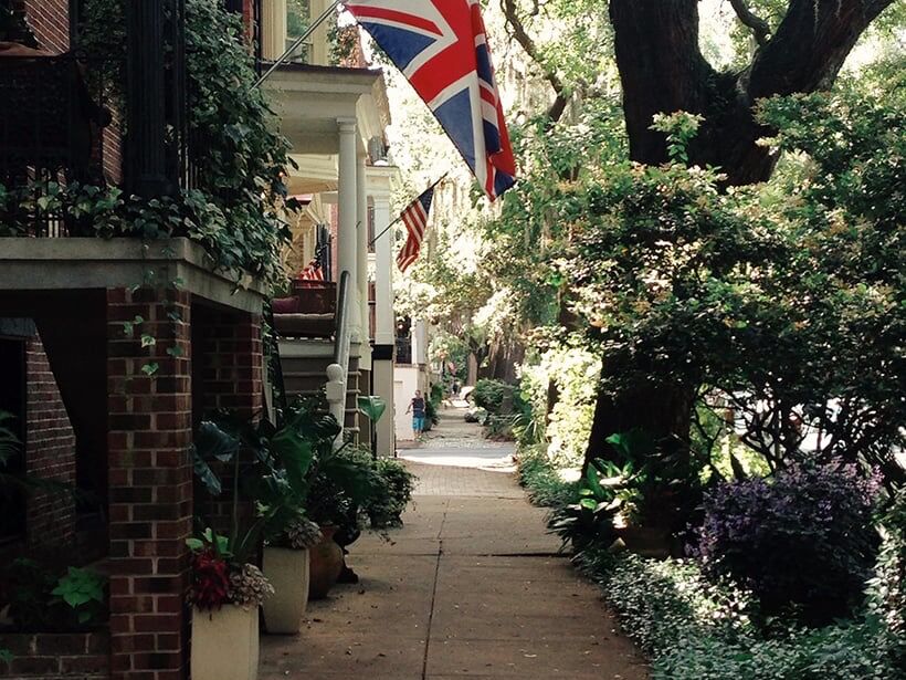 Picture of Savannah