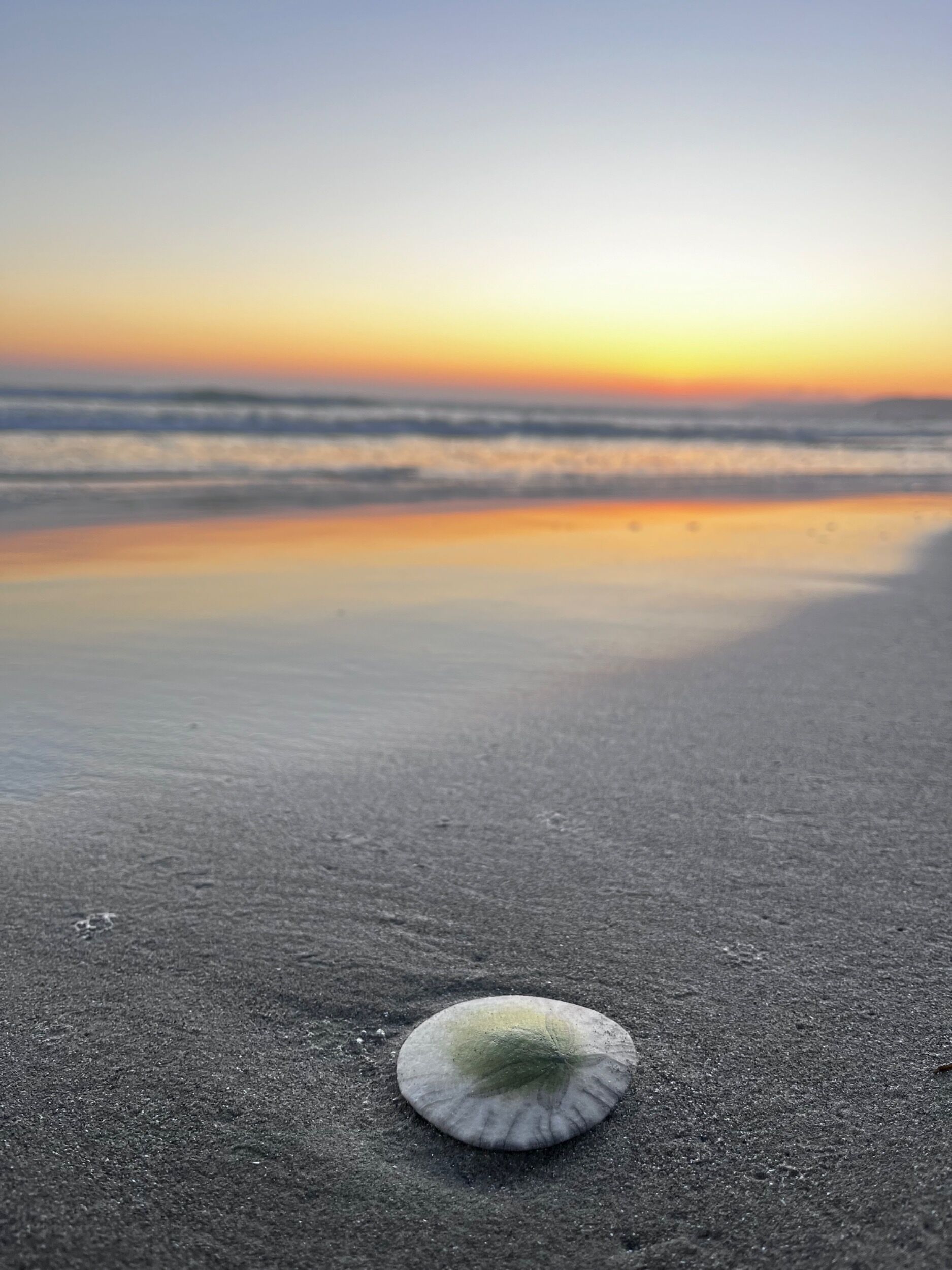 Picture of Morro Strand State Beach Day Use only