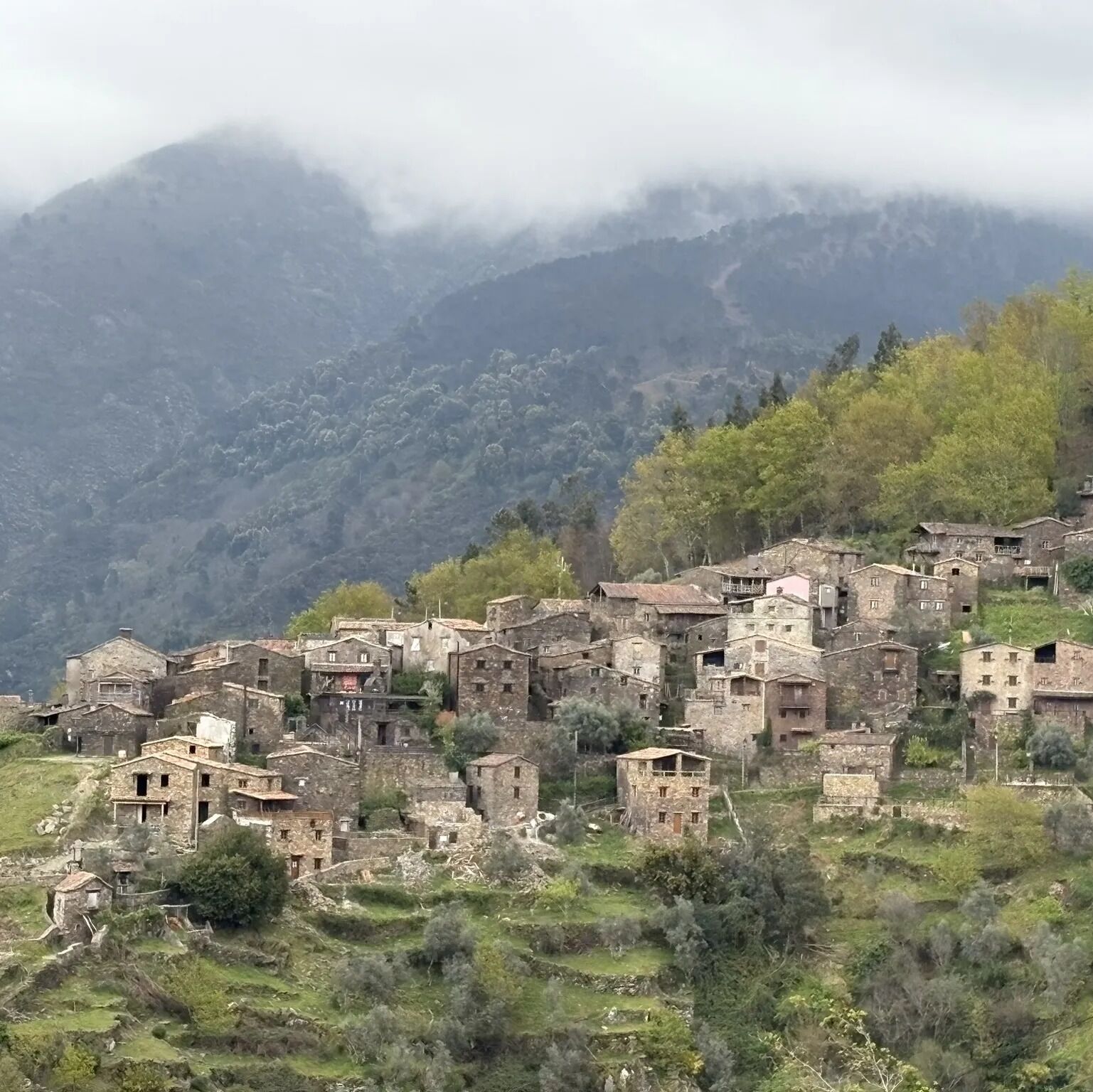 Picture of Talasnal