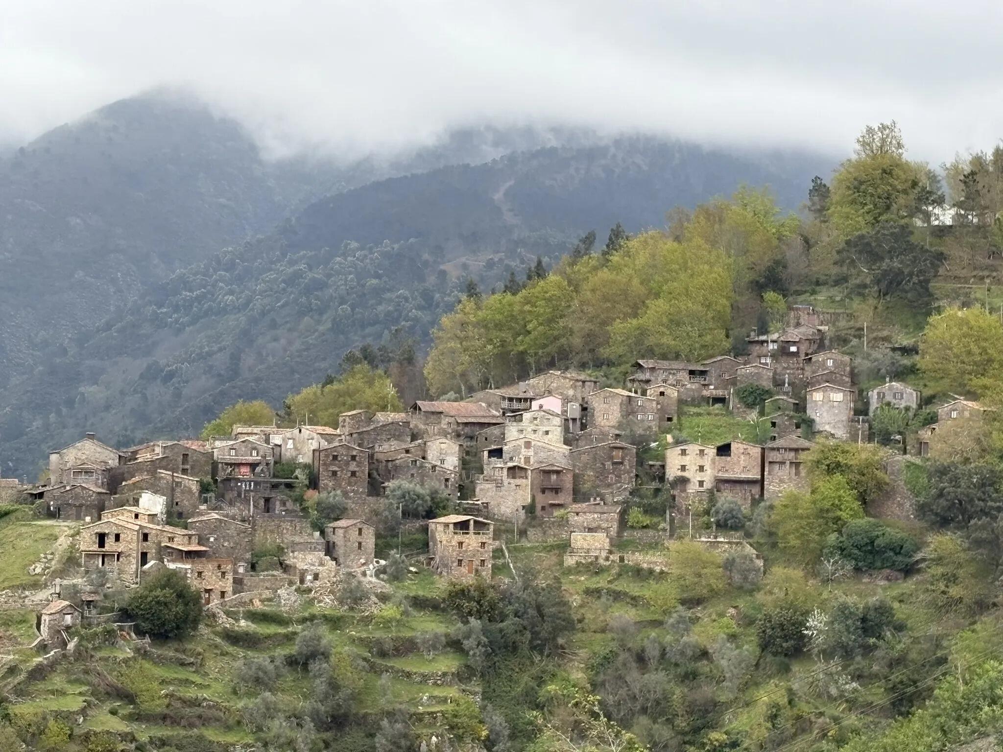 Picture of Talasnal