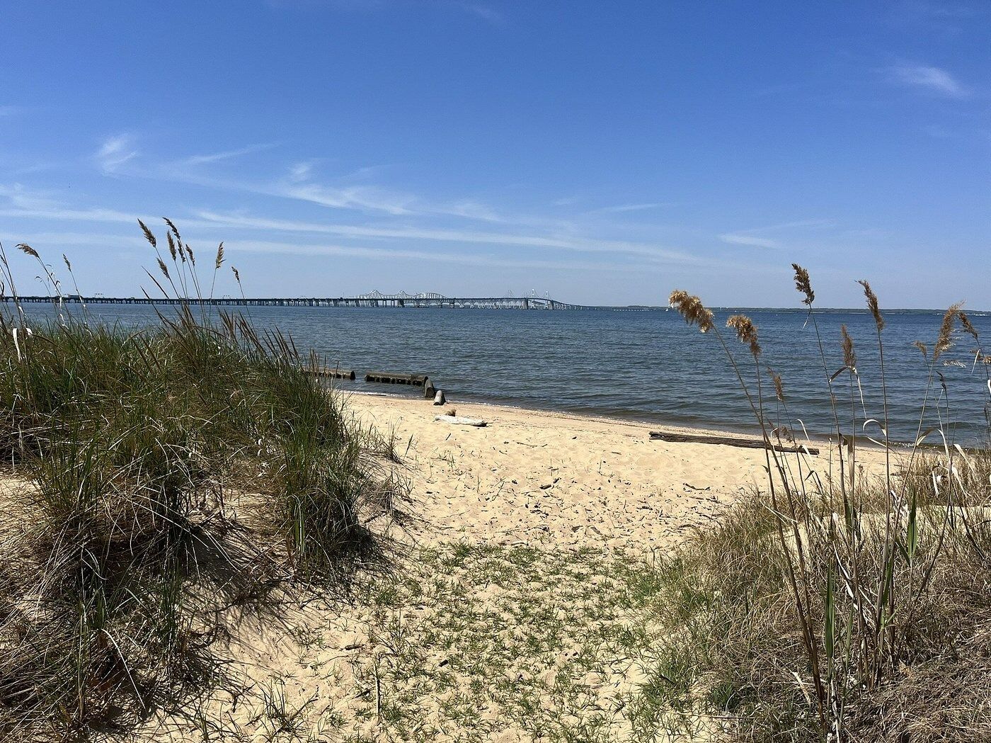 Picture of Terrapin Nature Park