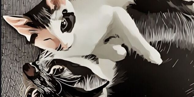 Stasi & Kyler Home Page Banner