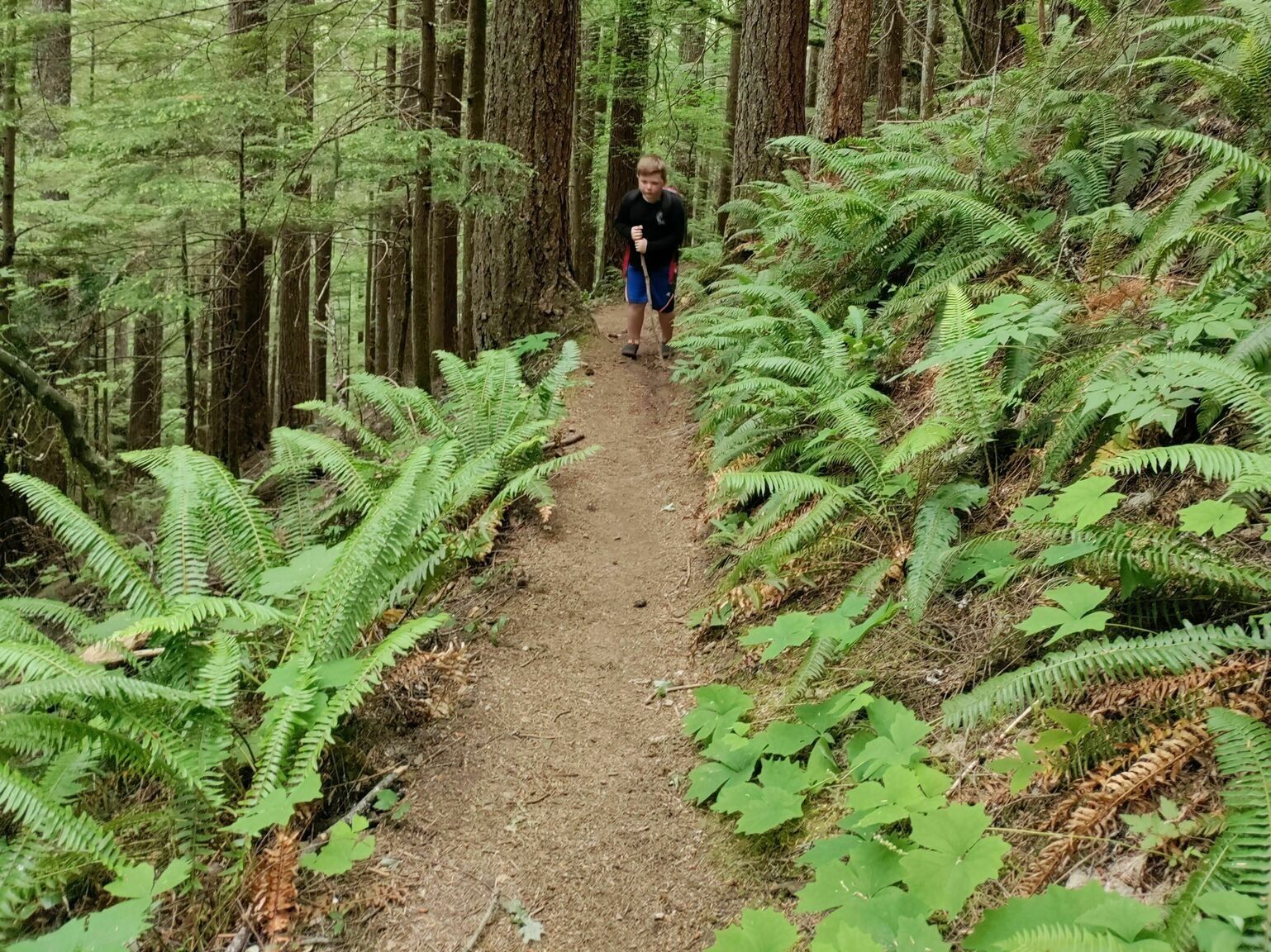 Picture of Trailhead: Osborne Mountain