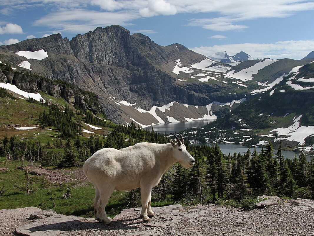 Picture of Glacier National Park