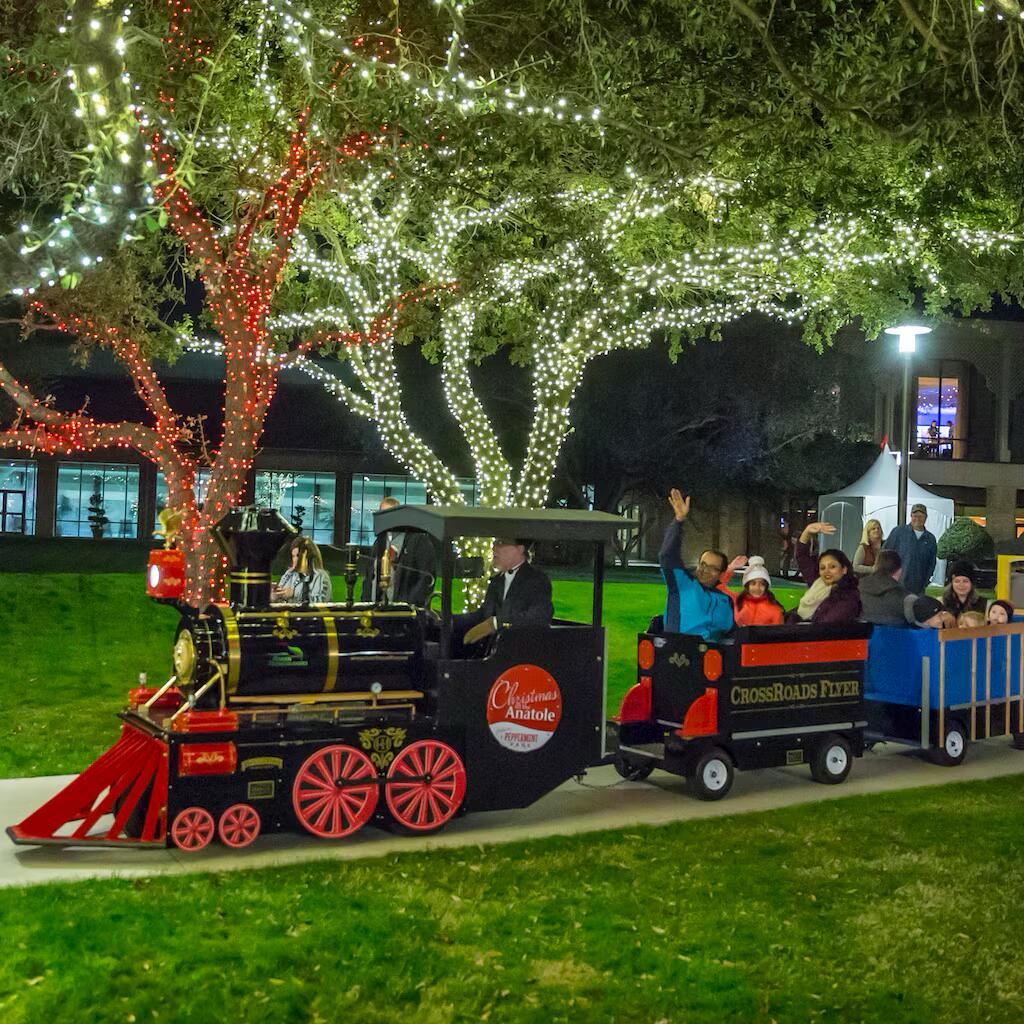 Picture of The Magic of Christmas at The Hilton Anatole