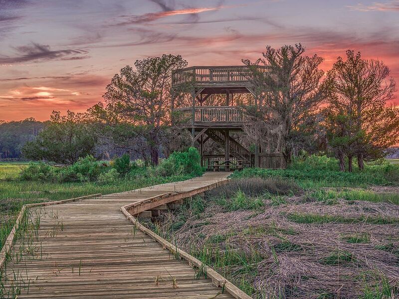 Picture of Skidaway Island State Park
