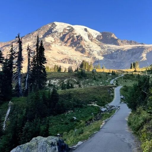 Picture of Mount Rainier National Park