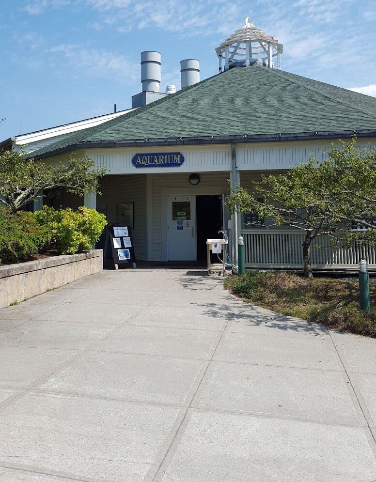 Picture of Maine State Aquarium 