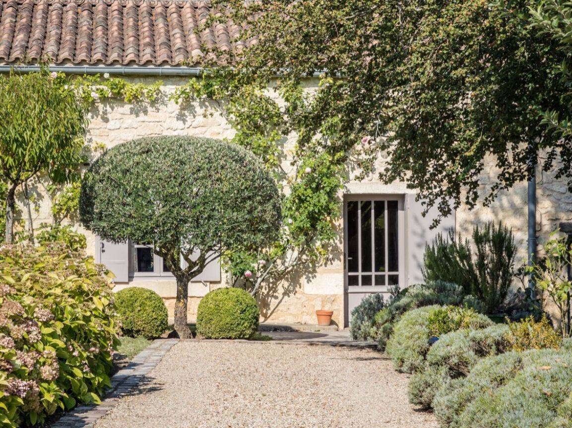 Picture of Château Troplong Mondot