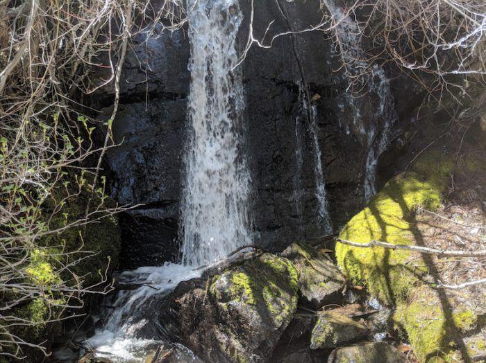 Picture of Genoa Canyon Waterfalls Trailhead