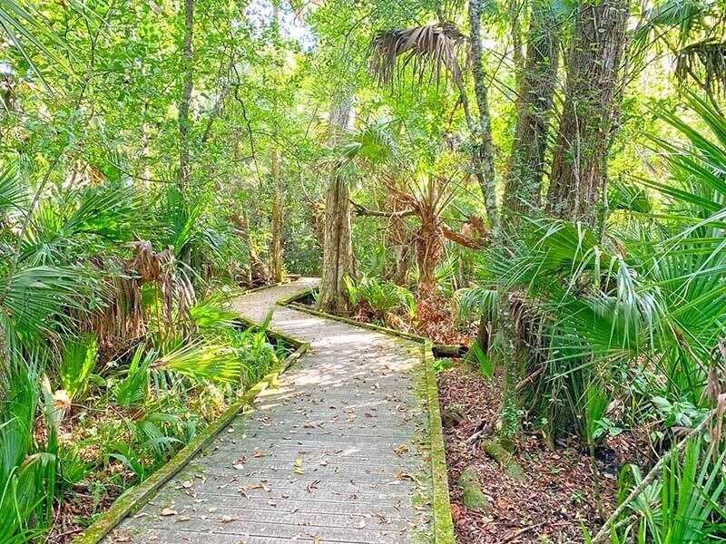 Picture of Brevard County Enchanted Forest Sanctuary