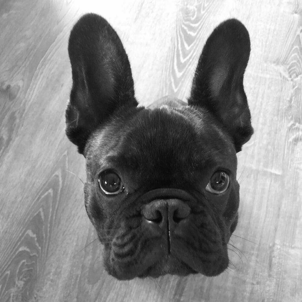 Henry