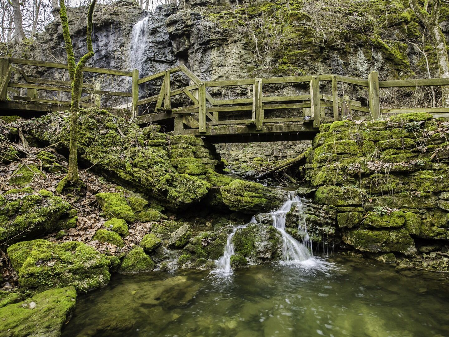 Picture of Clifton Gorge State Nature Preserve
