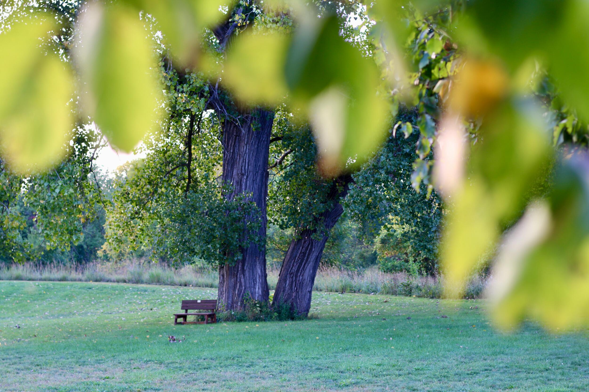 Picture of Nature At The Confluence