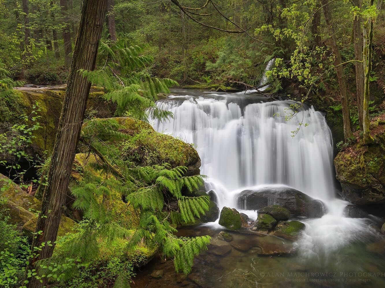 Picture of Whatcom Falls Park