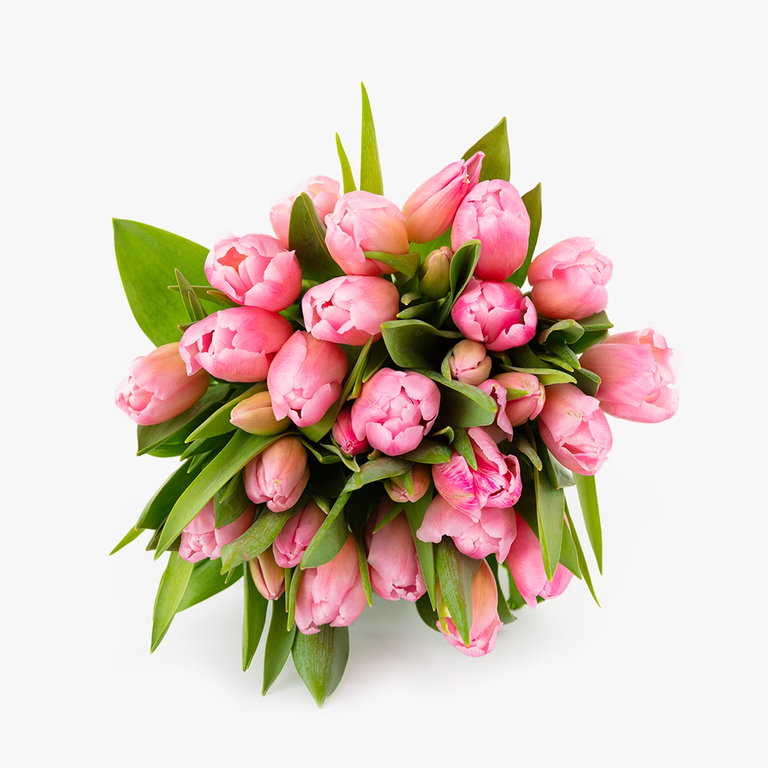 Tulip Bouquet Delivery from BloomsyBox for your 11th wedding anniversary