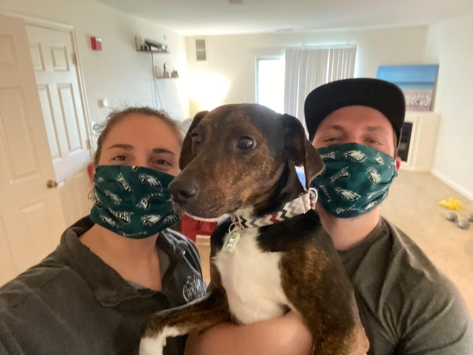 Jump scare! COVID! But the year we become paw-rents to Smokey Joe!!! And GO BIRDS!