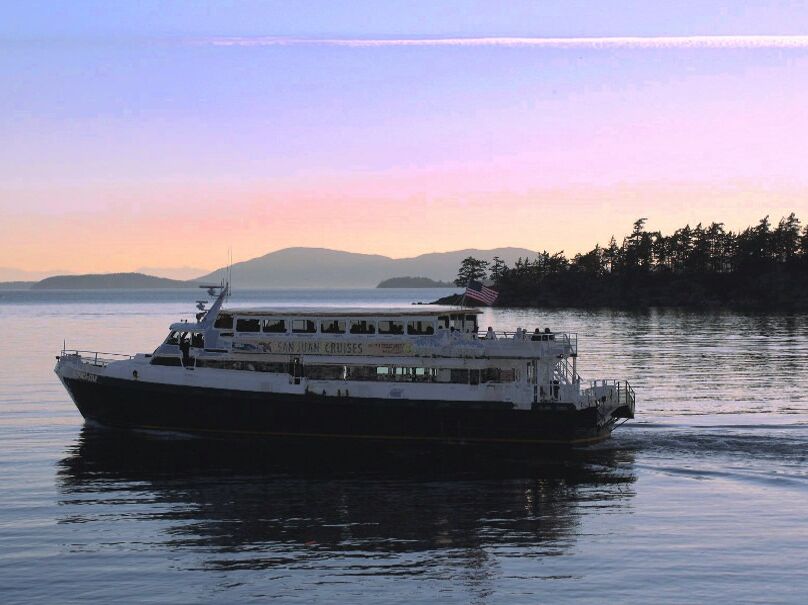 Picture of Hop Aboard a Whale Watching Tour