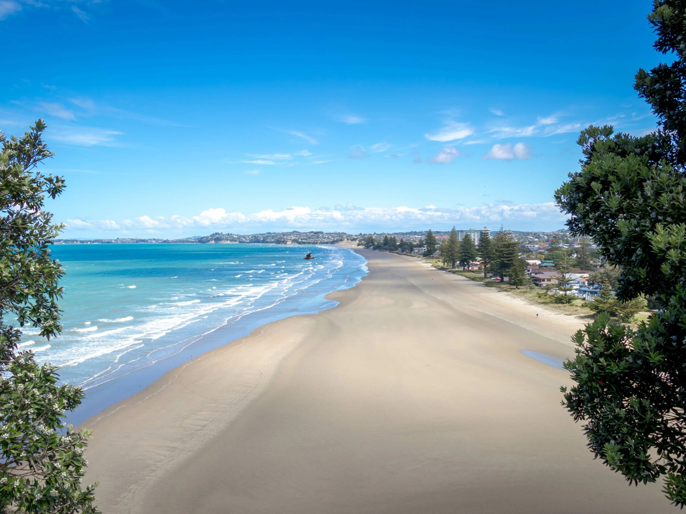 Picture of Orewa, New Zealand