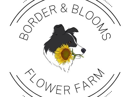 Picture of Border and Blooms Flower Farm