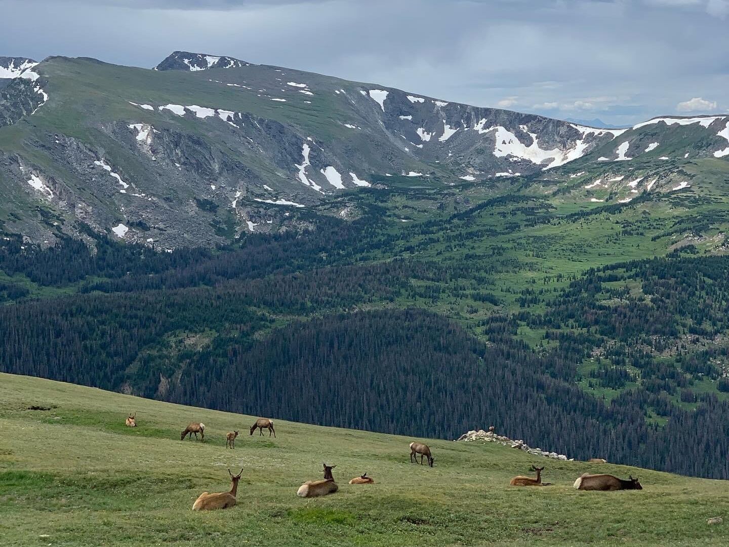Picture of Estes Park
