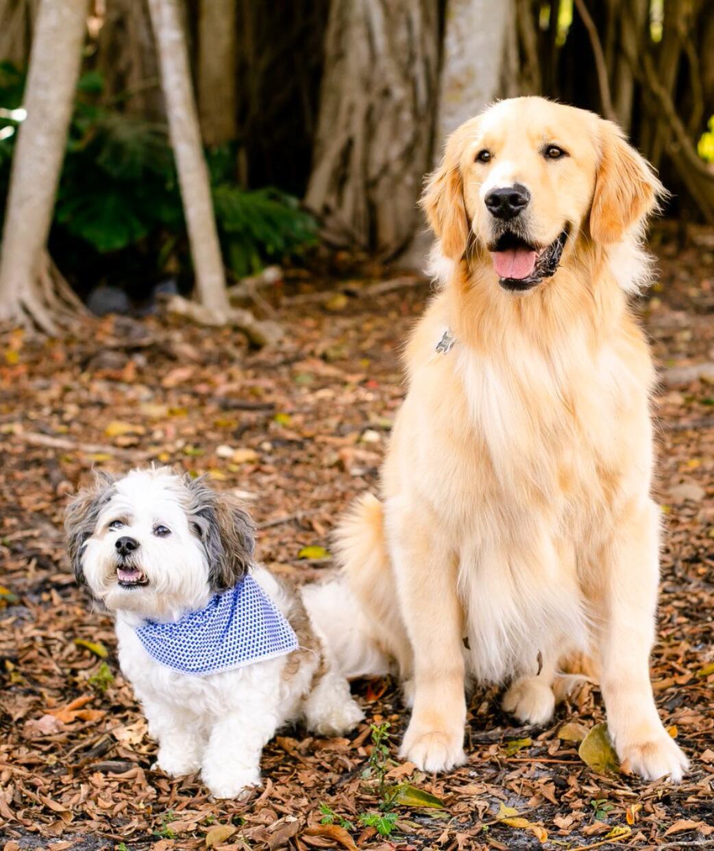 Bodie & Mr. Bentley