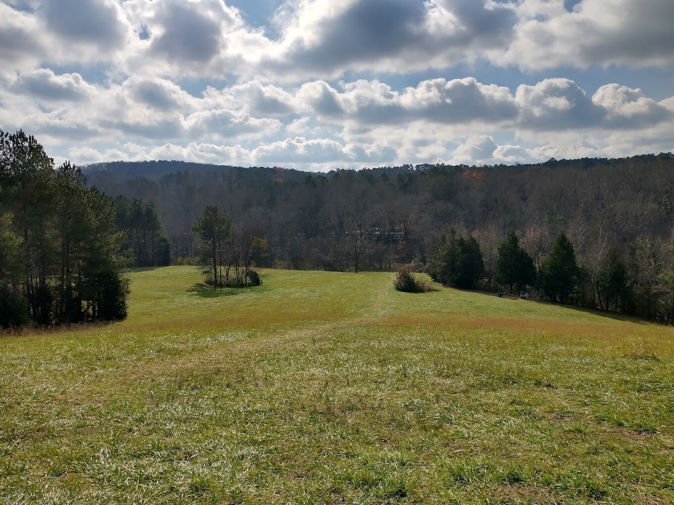 Picture of Merritt's Pasture
