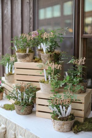Rustic Potted Escort Card Display