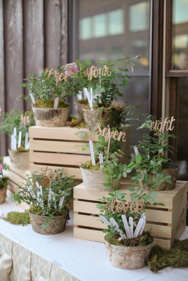 During cocktail hour, guests found their seating assignments sticking out of birch covered pots filled with reindeer moss and greenery.