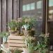 Rustic Potted Escort Card Display