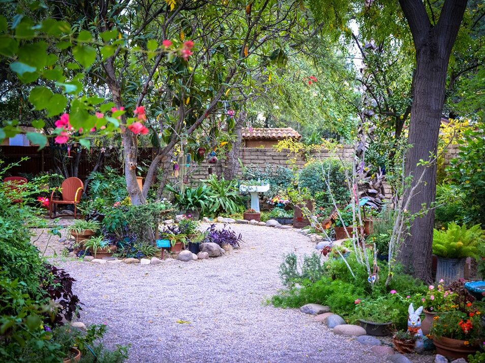 Picture of Tucson Botanical Gardens