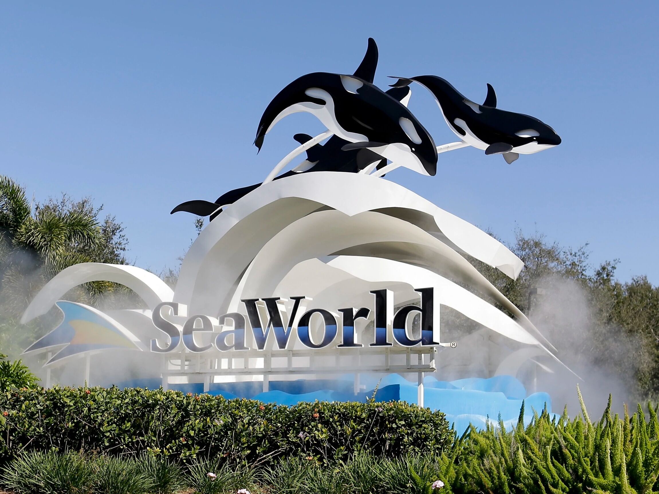 Picture of SeaWorld Orlando