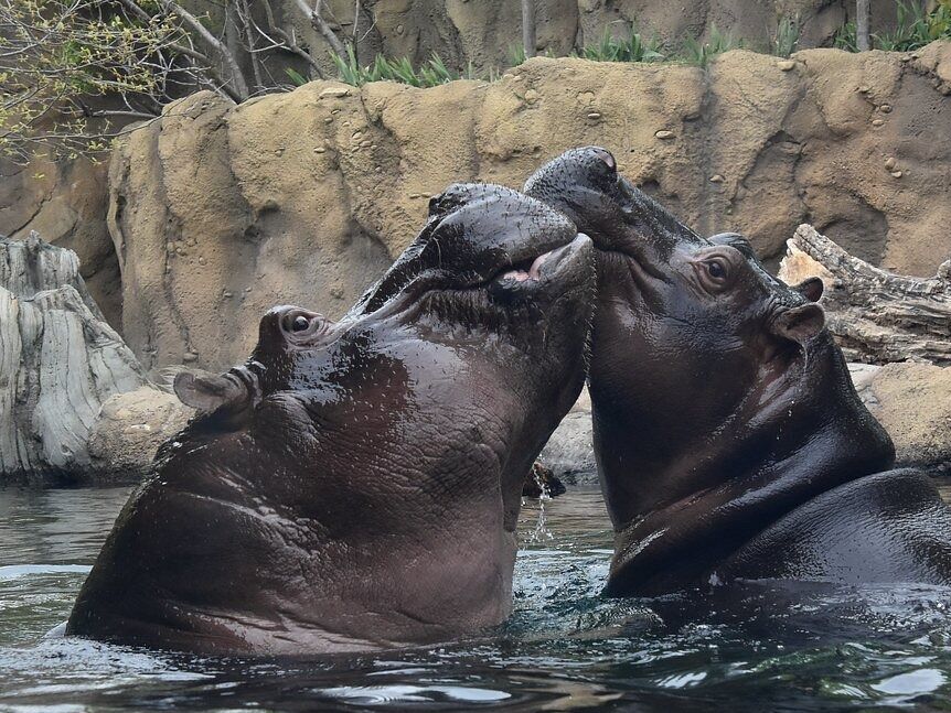 Picture of Cincinnati Zoo & Botanical Garden