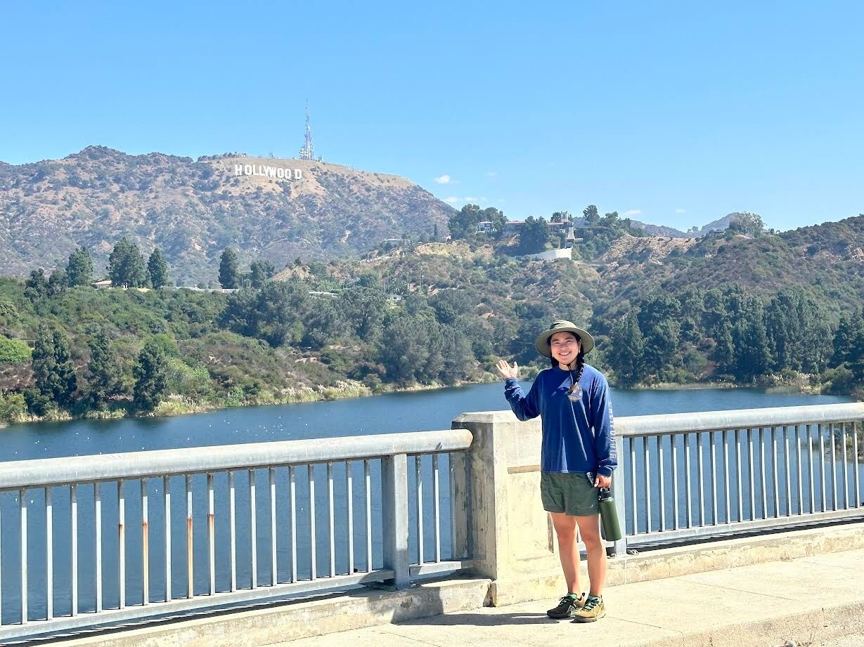 Picture of Hollywood Sign "FREE"