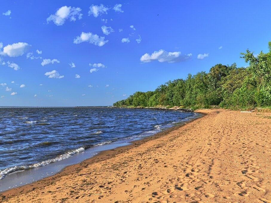 Picture of Terrapin Nature Park