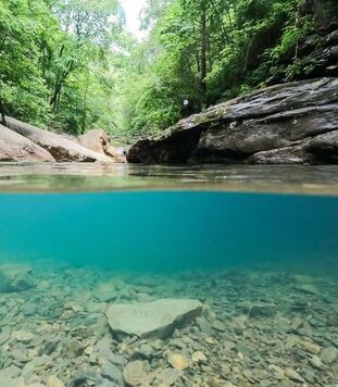Picture of Big Soddy Creek Gulf Swimming Hole