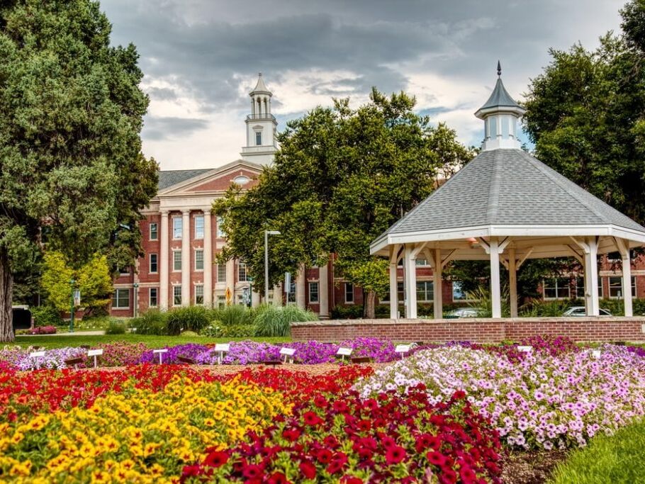 Picture of CSU Annual Flower Trial Gardens