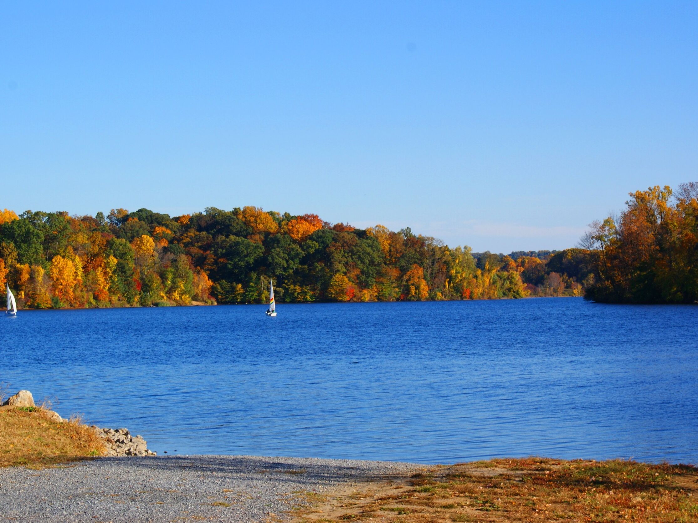 Picture of Marsh Creek State Park