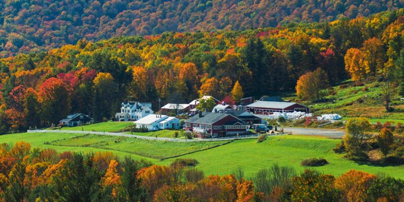 Picture of The Cabins at Hinata Retreat