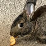 Twix