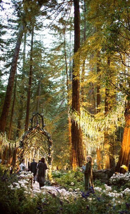 Sean Parker's Wedding Photos by Christian Oth