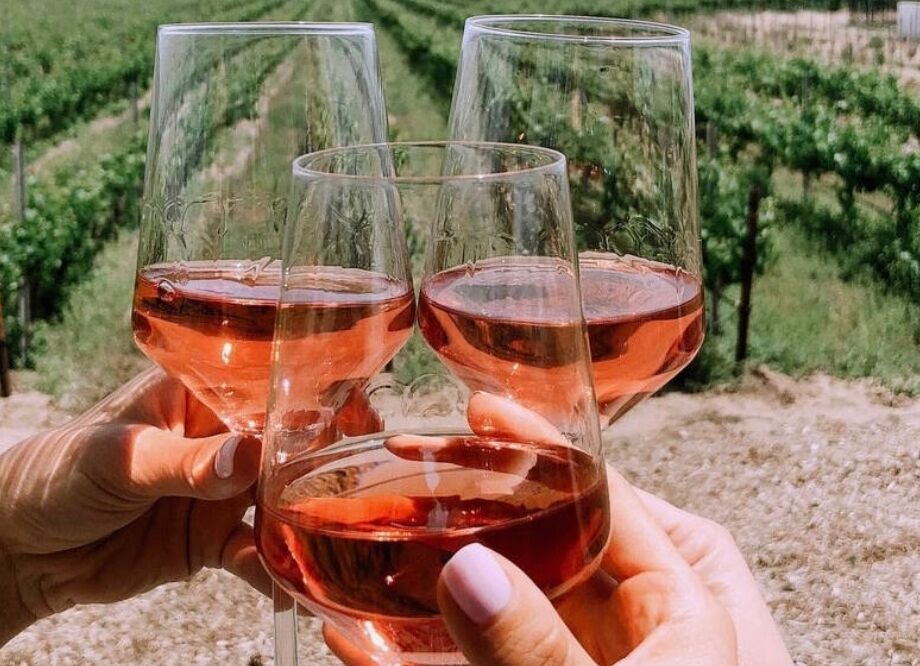 Picture of Temecula Valley Wine Tour