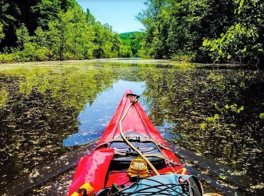 Picture of Hoosier National Forest