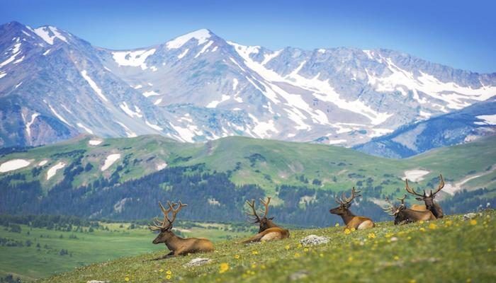 Picture of Rocky Mountain National Park