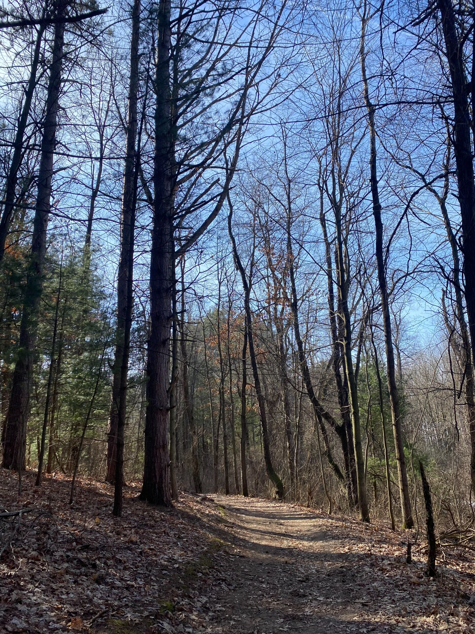 Picture of Bald Mountain State Recreation Area