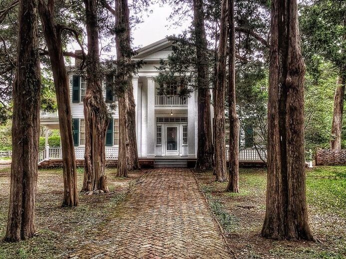 Picture of Visit Rowan Oak