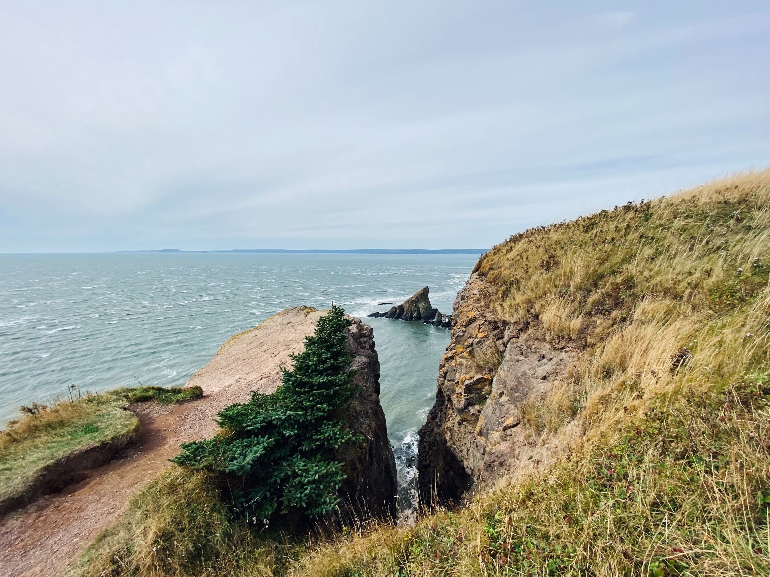 Picture of Cape Split Trailhead