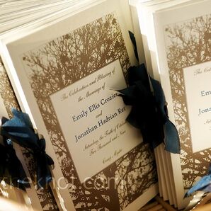 Blue and Brown Programs